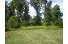 Property photo 9 - 40 Acres in 4 Tracts - Great Location!